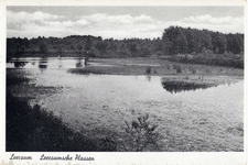 11257 Gezicht op de Leersumsche Plassen in het natuurgebied Leersumsche Veld te Leersum.